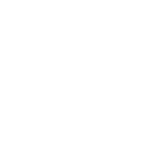 POZZO, partenaire de RITMODiag