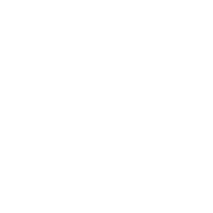 SAFTI, partenaire de RITMODiag